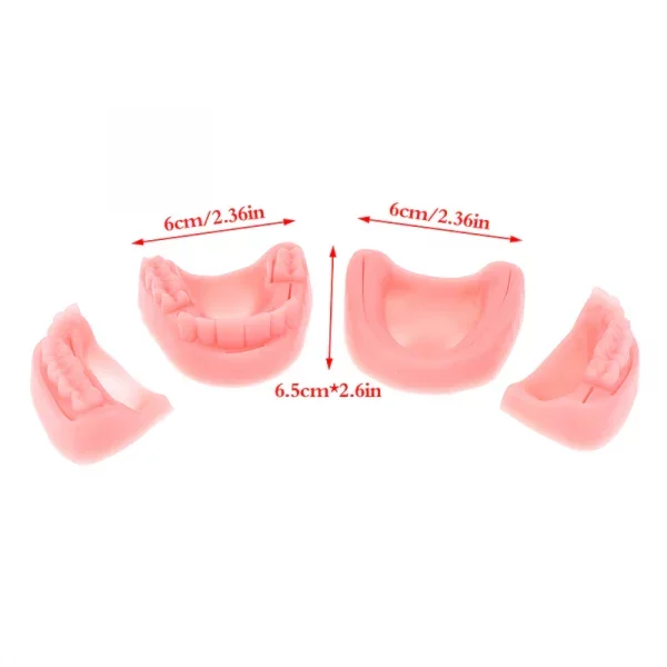 Modele silicon chirurgie orala antrenament suturi chirurgicale set