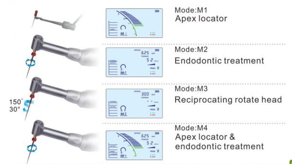 Mircomotor endodontic COXO C-Smart-I endomotor